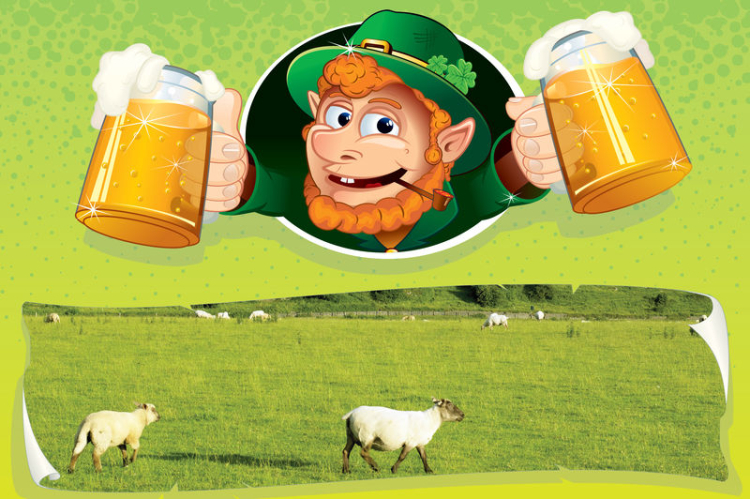 דבלין - כבשים שיכורות מגינס